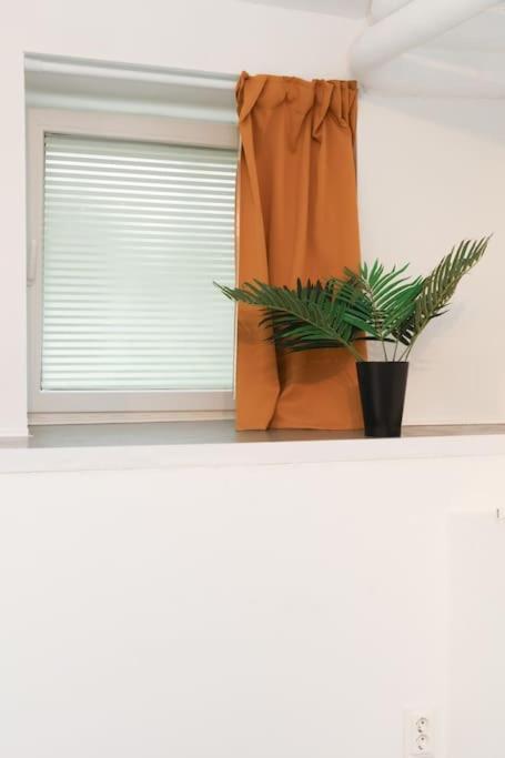 Zentral Gemuetliches Design Studio Apartment Berlin