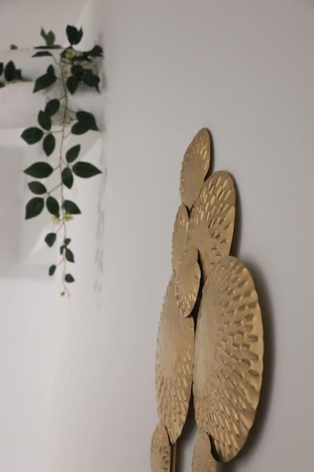 Zentral Gemuetliches Design Studio