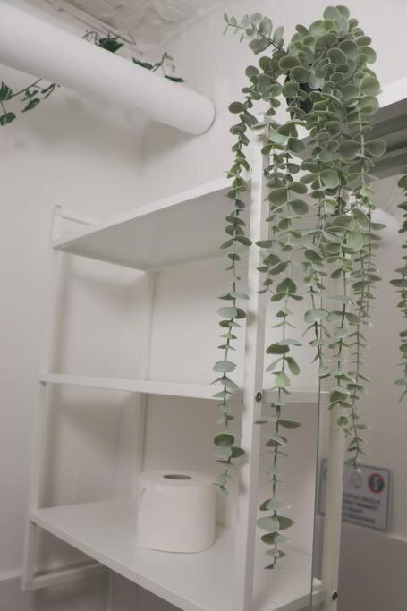 Zentral Gemuetliches Design Studio Appartement